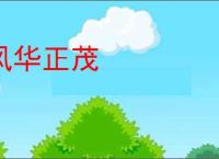 风华正茂