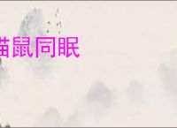 猫鼠同眠