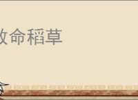救命稻草