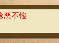稔恶不悛