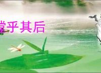 瞠乎其后