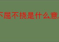 不屈不挠是什么意思