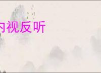 内视反听