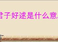 君子好逑是什么意思