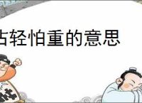 沾轻怕重的意思
