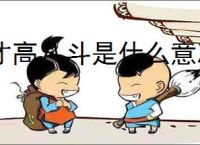 才高八斗是什么意思