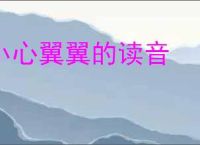 小心翼翼的读音
