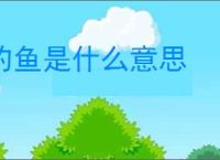 钓鱼是什么意思