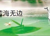 苦海无边