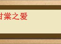 甘棠之爱