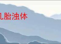凡胎浊体