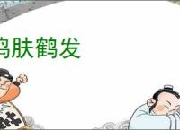 鸡肤鹤发