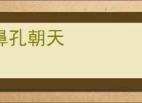 鼻孔朝天