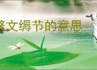 繁文缛节的意思