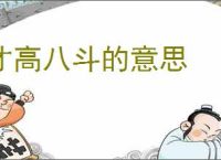 才高八斗的意思