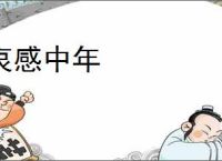 哀感中年