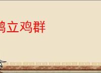 鹤立鸡群