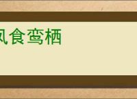 凤食鸾栖