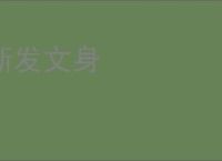 断发文身