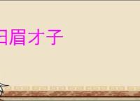 扫眉才子