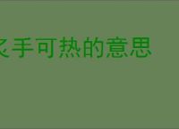 炙手可热的意思