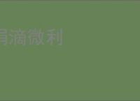 涓滴微利