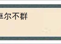 卓尔不群