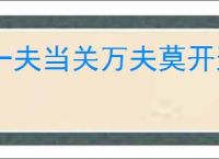 一夫当关万夫莫开这句话出自哪里