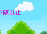 不随以止