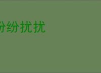 纷纷扰扰