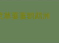 荒草萋萋鹦鹉洲