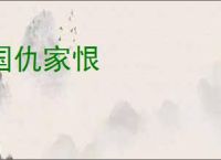 国仇家恨