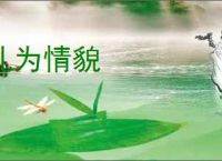 礼为情貌