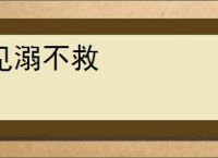 见溺不救