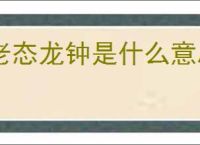 老态龙钟是什么意思