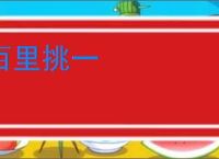百里挑一