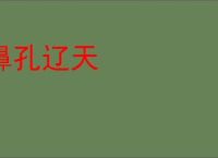 鼻孔辽天