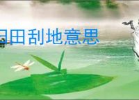 扫田刮地意思