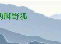 两脚野狐