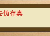 去伪存真