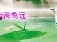 驰高鹜远