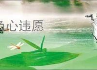 负心违愿