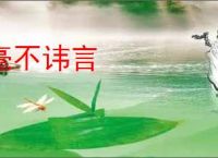 毫不讳言