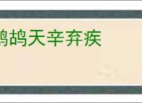 鹧鸪天辛弃疾