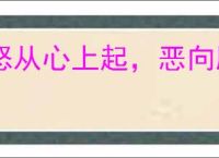 怒从心上起，恶向胆边生