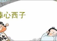 捧心西子