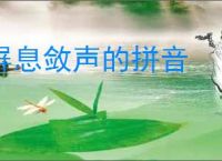 屏息敛声的拼音