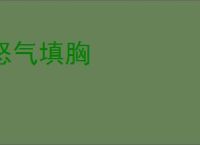 怒气填胸