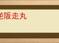 逆阪走丸