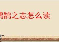 鸿鹄之志怎么读
